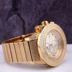 IceTime Crown II Men's Automatic Steel Watch Iced Out 12 Carat Diamonds